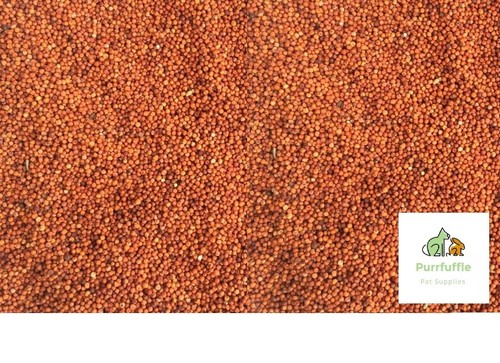 20kg red millet bird seed - 20kg,