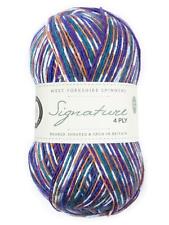 WYS Signature 4 ply Knitting Wool Yarn 100g - 1169 Starling
