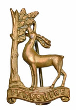 Vintage Old The Girl Guides Berkshire County Identification Metal Brooch Badge