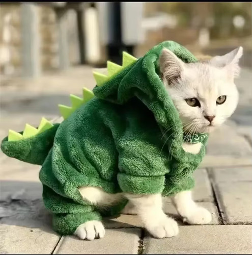 Dinosaur cosplay pet - pet, costume