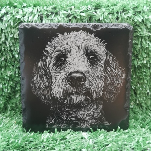 Slate coaster labradoodle dog - slate, coaster/