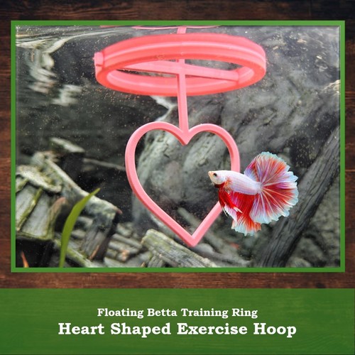 Betta floating heart - floating,