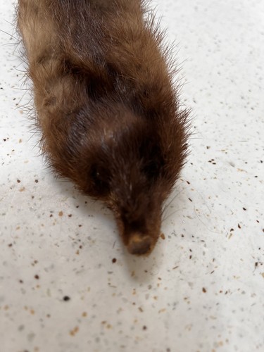 Vintage 40s mink fur stole - vintage,