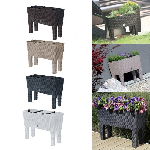 Raised planter plant pot - plant, on