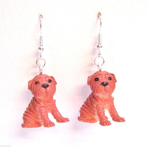 New shar pei dogs puppies - shar,