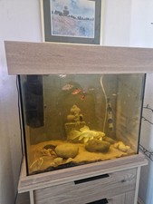Fish Tank Aquarium Complete