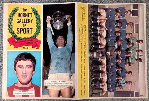 The hornet gallery sport - hornet, of