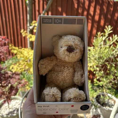 First spencer bear - m&s, my