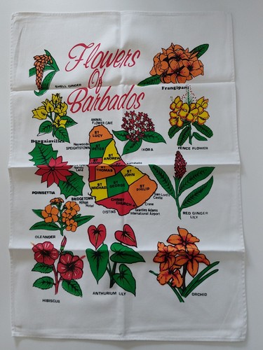Barbados souvenir tea towel - souvenir,