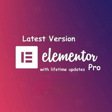 Elementor pro wordpress - elementor,