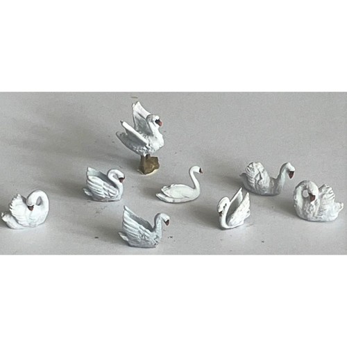 Waterfowl swans assorted - waterfowl,