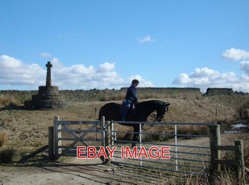 Photo bridleway forest of - bridleway,