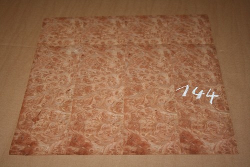 Rüster veneer elm - rüster,