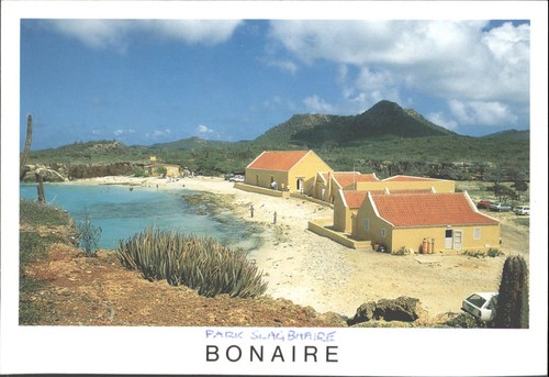 Vintage park slagbaai bonaire - vintage,