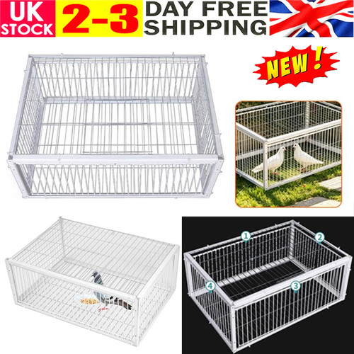 Pigeon trap cage door - trap, 4