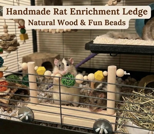 Pet cage boredom ledge - pet, for