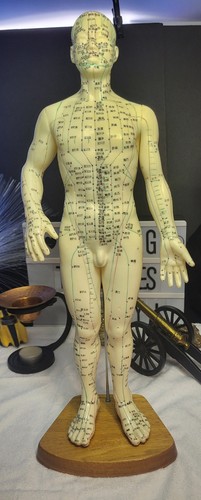 Chinese acupuncture model - acupuncture,