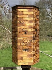 Natural bee hive - bee,