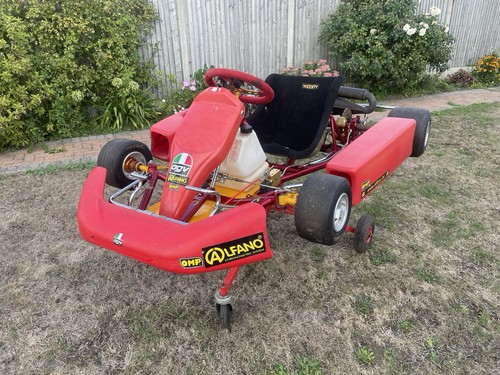 Rotax 125cc kart - rotax, solo