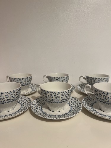 Vintage royal victoria rose - victoria,
