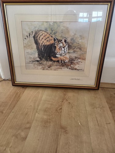 David shepherd signed - david,