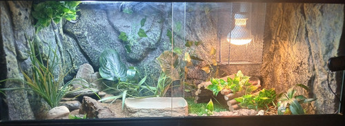 Habistat glass vivarium - habistat, for