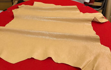 Champagne beige leather hides - champagne,