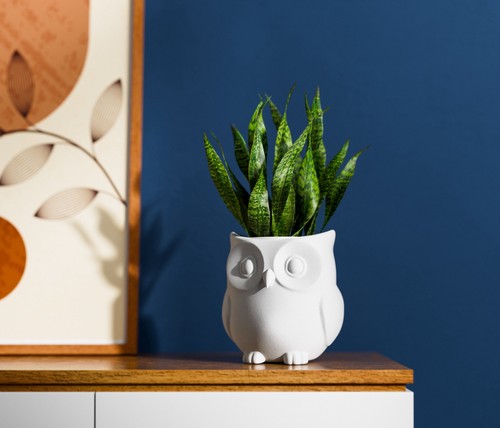Printed white owl plant pot - 3d,