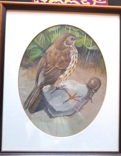 John crank british watercolour - crank,
