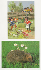 535 humour hedgehog - ak,