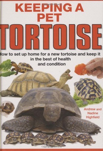Keeping pet tortoise a - tortoise, a.c
