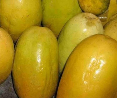 Giant granadilla seeds - 10,