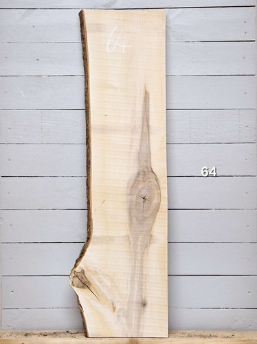 Maple live edge 1220mm - maple,