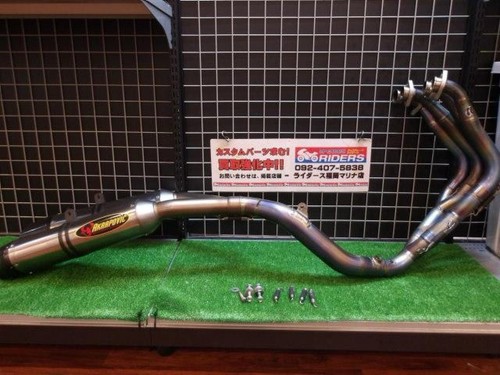 Akrapovic evolution line full - line,