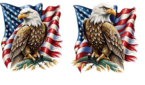 Eagle american flag - flag, rv