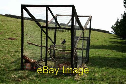 Photo 6x4 larsen trap - larsen,