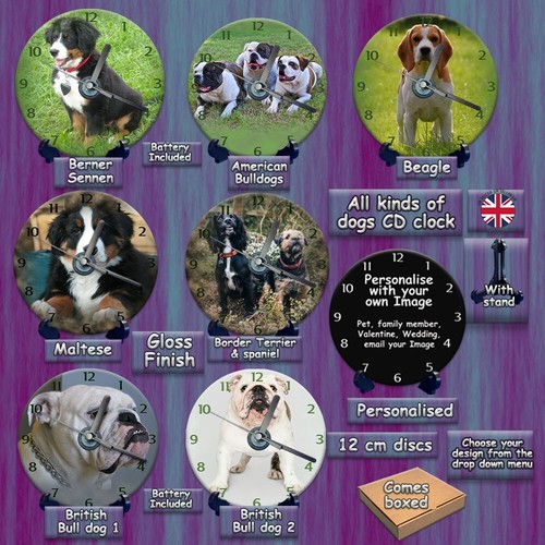 Clock dog puppy beagle - cd,