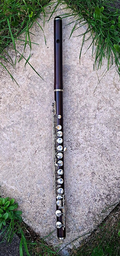Cocuswood flute silver - cocuswood,