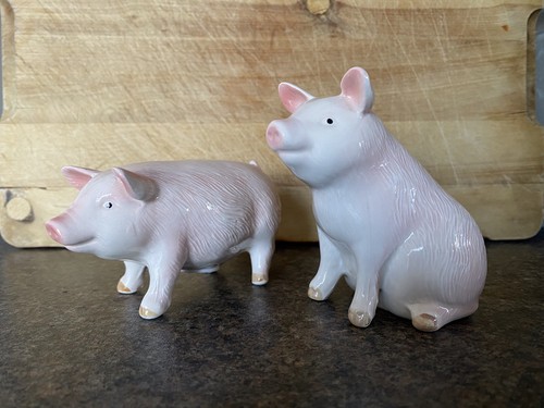 Otagiri pig salt and pepper - salt,