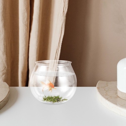 Anti fall mini plastic fish - anti-fall,