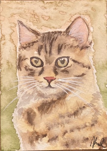 Aceo original watercolour - aceo,