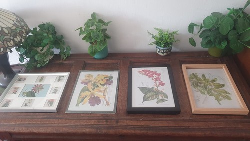 Set large botanical - set,