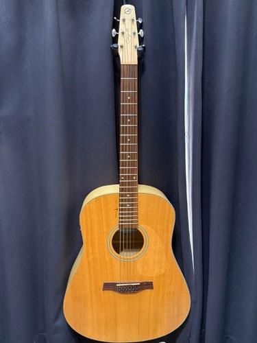 Sea gull acoustic - ​​gull,