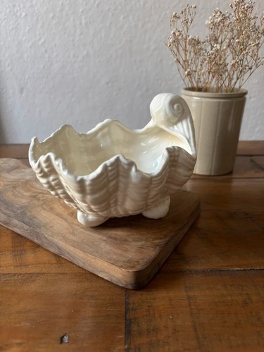 White shell shaped sweet dish - shell,
