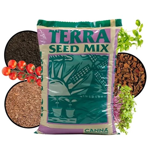 Canna terra seed mix - seed,