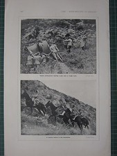 1916 WWI WW1 PRINT ~ ITALIAN ARTILLERYMEN HAULING GUN CAVALRY PATROL IN MOUNTAIN