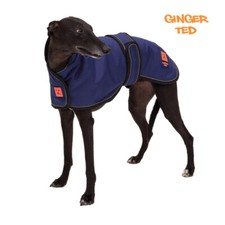 Ginger Ted Waterproof