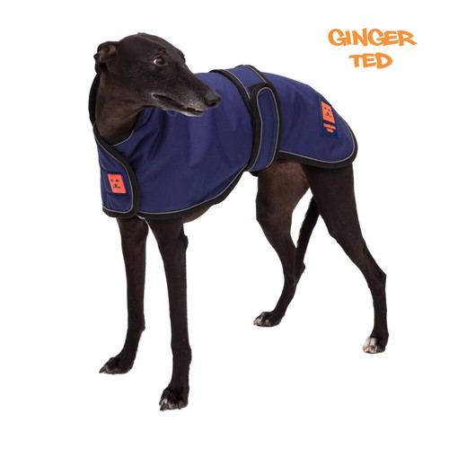 Ginger ted waterproof - ginger,