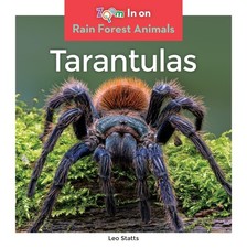 Tarantulas (Zoom In On Rain