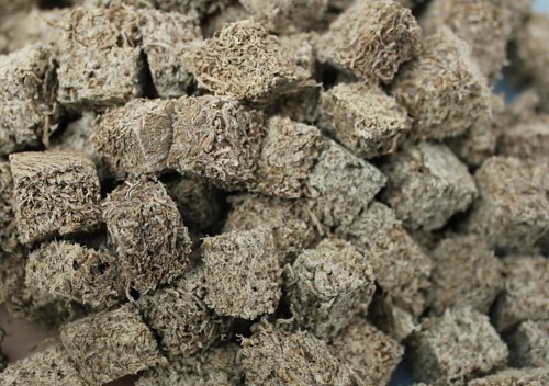 Fish food freeze dried - food,